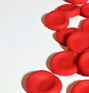 Globules rouges